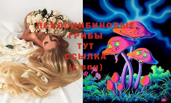 СК Алексеевка