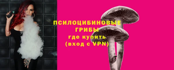 СК Алексеевка