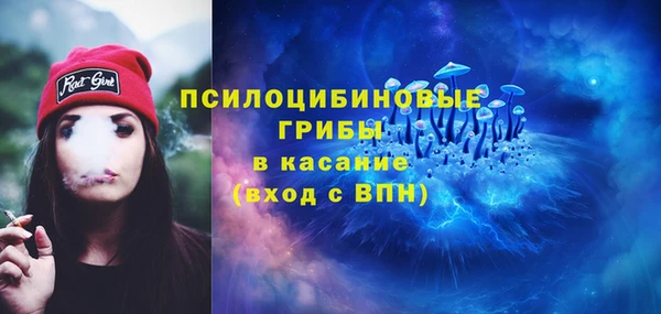 ешки Алзамай