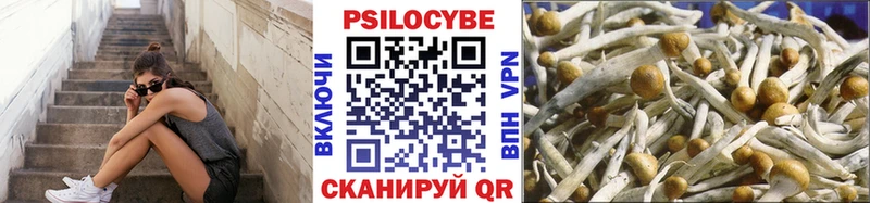 купить наркотик  Красноуральск  Псилоцибиновые грибы прущие грибы 